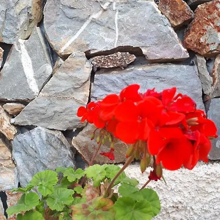 Fiori Apartment Belmonte Calabro